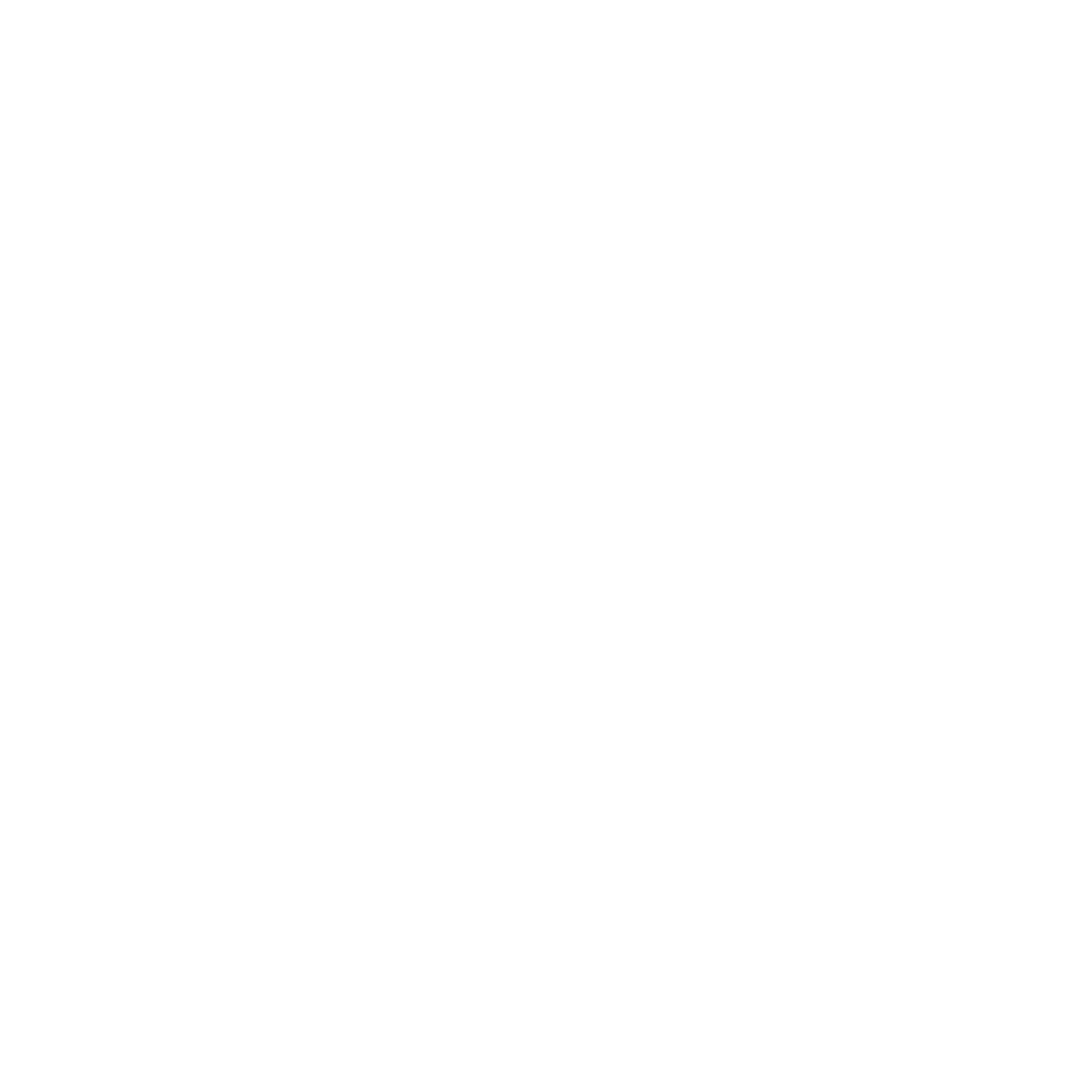 AirBag